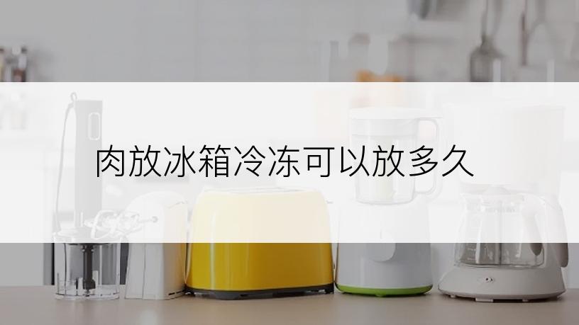 肉放冰箱冷冻可以放多久