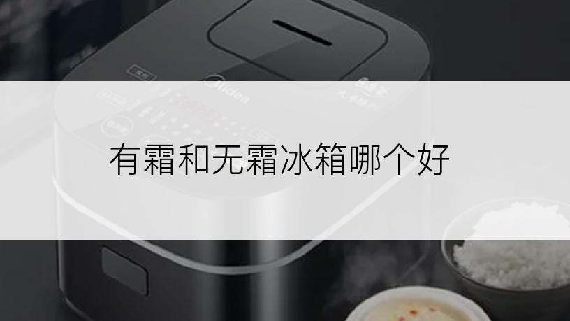 有霜和无霜冰箱哪个好