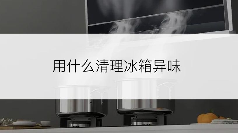 用什么清理冰箱异味