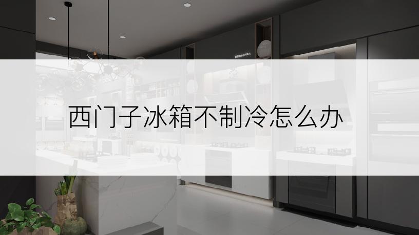 西门子冰箱不制冷怎么办