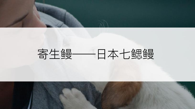 寄生鳗――日本七鳃鳗