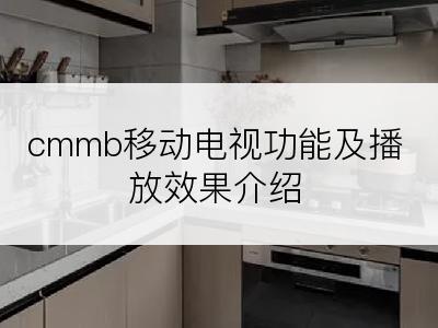 cmmb移动电视功能及播放效果介绍