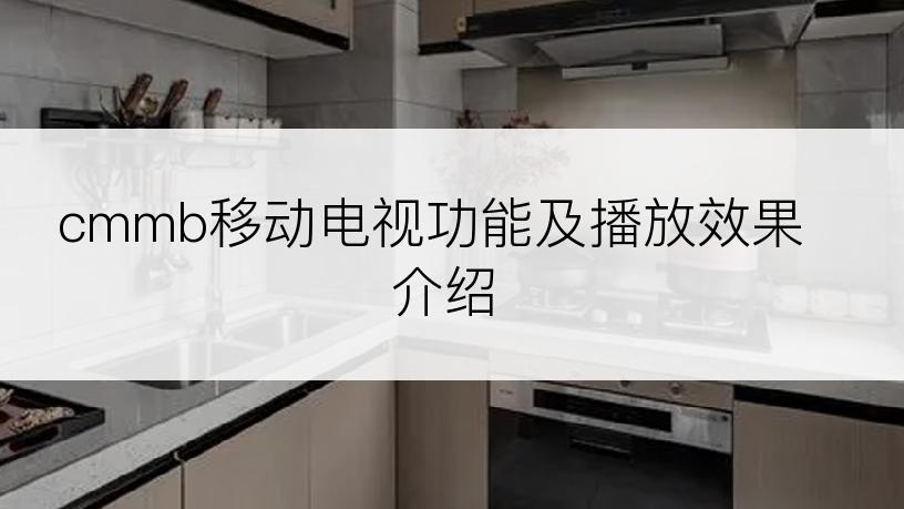 cmmb移动电视功能及播放效果介绍