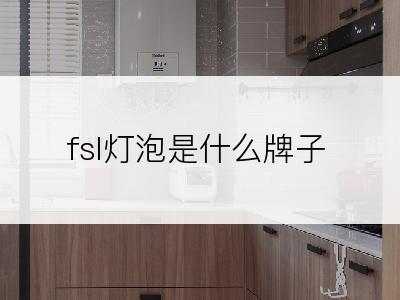 fsl灯泡是什么牌子