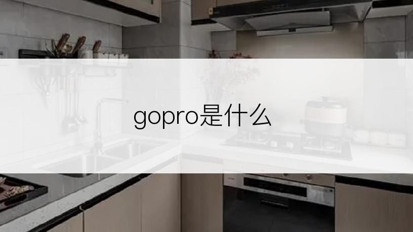 gopro是什么