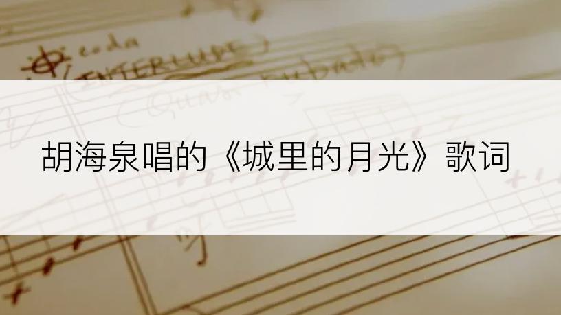 胡海泉唱的《城里的月光》歌词