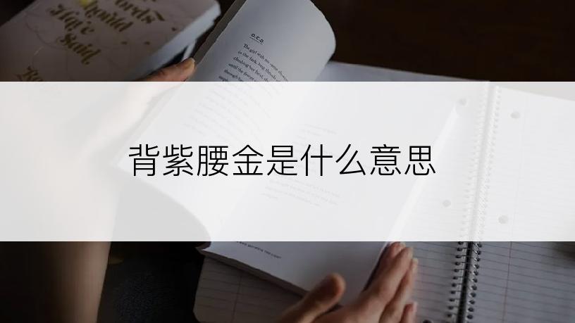 背紫腰金是什么意思