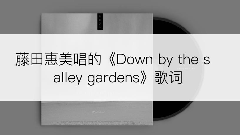 藤田惠美唱的《Down by the salley gardens》歌词