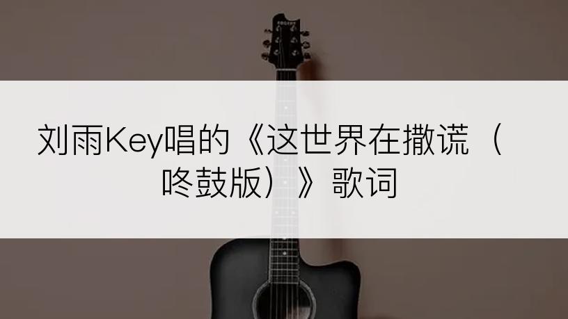 刘雨Key唱的《这世界在撒谎（咚鼓版）》歌词