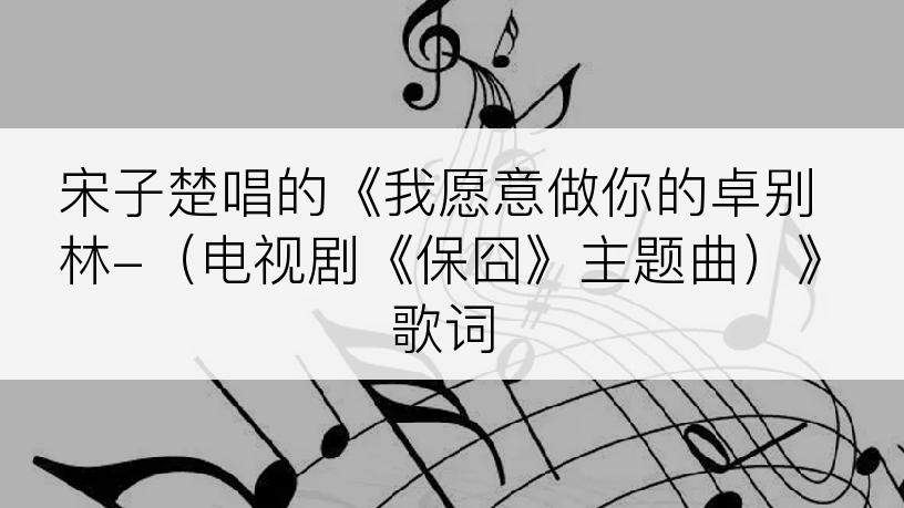 宋子楚唱的《我愿意做你的卓别林-（电视剧《保囧》主题曲）》歌词