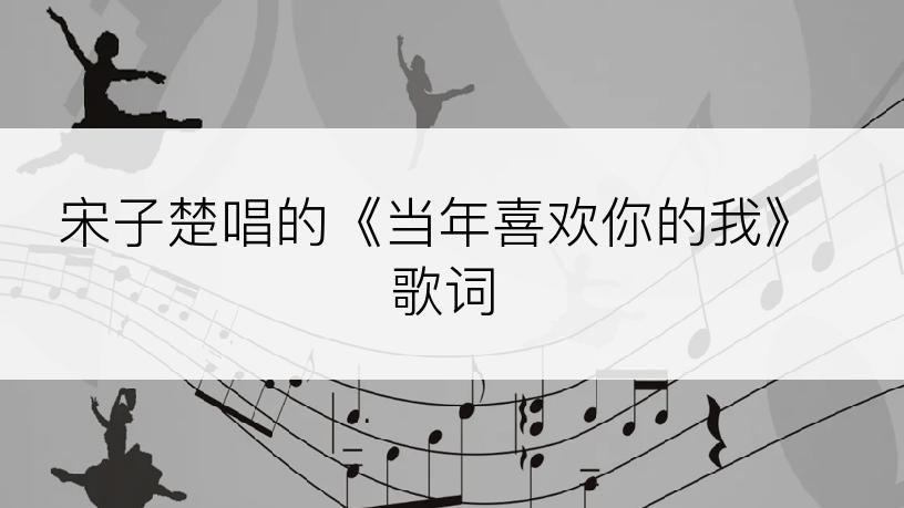 宋子楚唱的《当年喜欢你的我》歌词