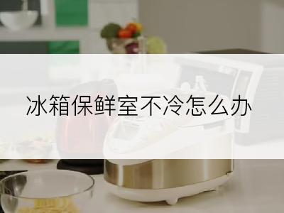 冰箱保鲜室不冷怎么办
