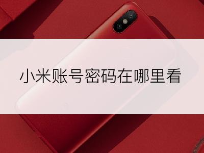 小米账号密码在哪里看