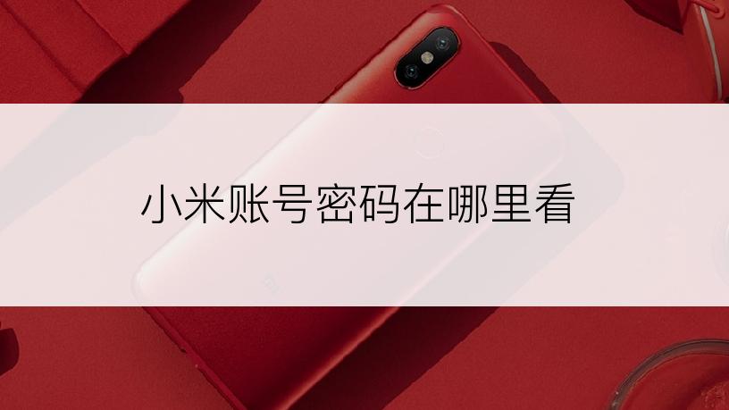 小米账号密码在哪里看