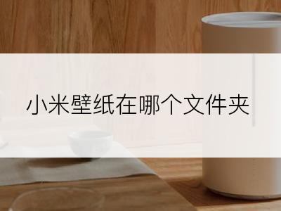 小米壁纸在哪个文件夹