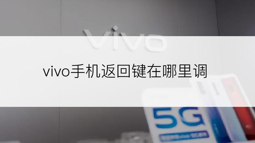vivo手机返回键在哪里调