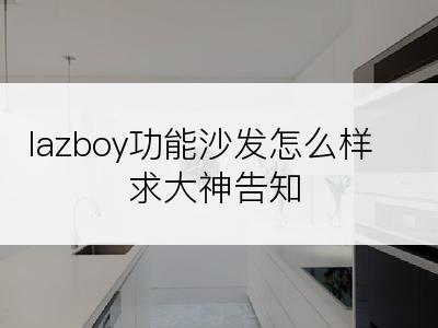 lazboy功能沙发怎么样求大神告知