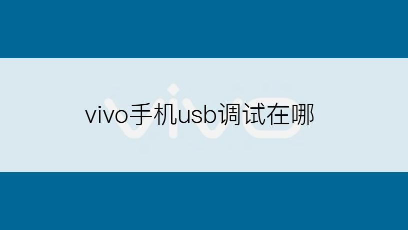 vivo手机usb调试在哪