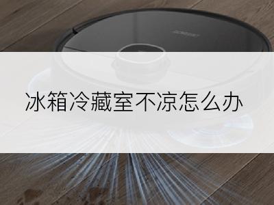 冰箱冷藏室不凉怎么办