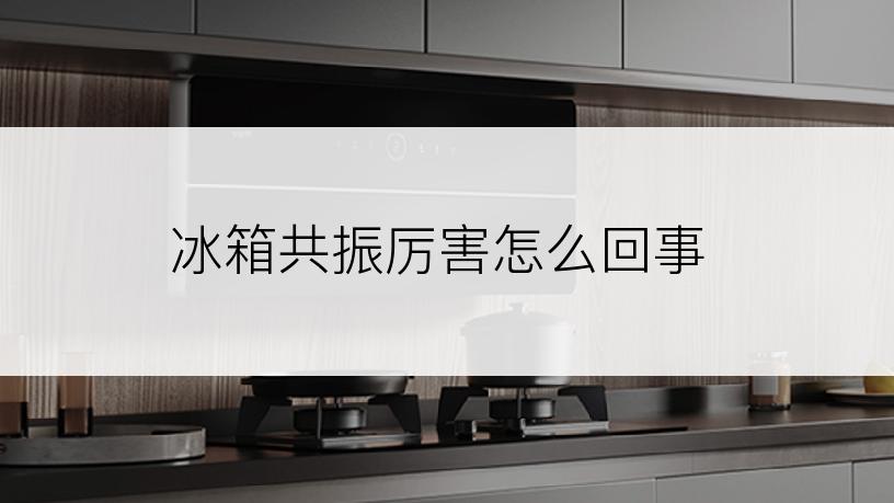 冰箱共振厉害怎么回事