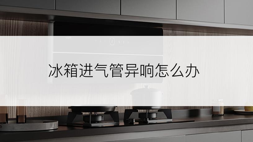 冰箱进气管异响怎么办