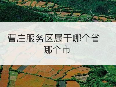 曹庄服务区属于哪个省哪个市