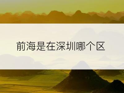 前海是在深圳哪个区