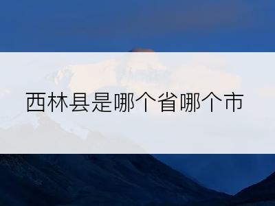 西林县是哪个省哪个市