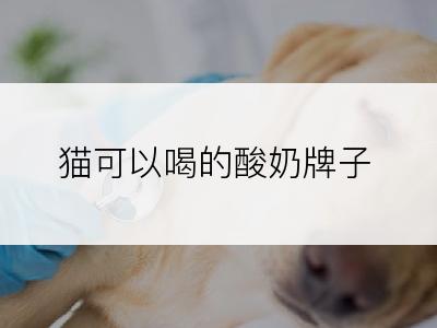 猫可以喝的酸奶牌子