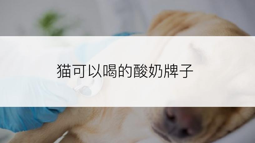 猫可以喝的酸奶牌子