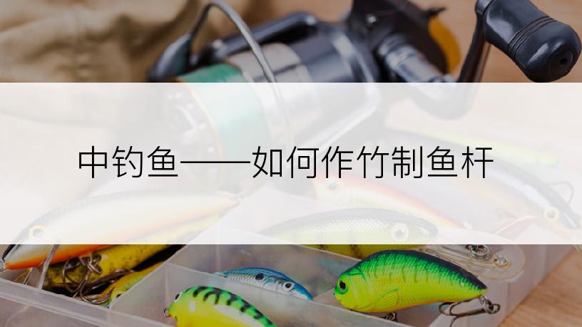 中钓鱼——如何作竹制鱼杆