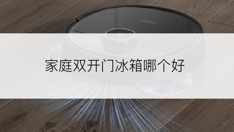 家庭双开门冰箱哪个好