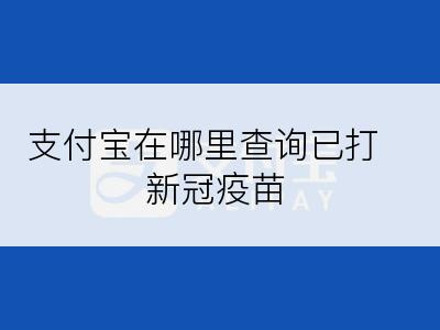 支付宝在哪里查询已打新冠疫苗