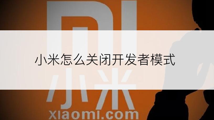 小米怎么关闭开发者模式