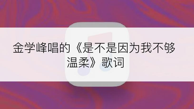 金学峰唱的《是不是因为我不够温柔》歌词
