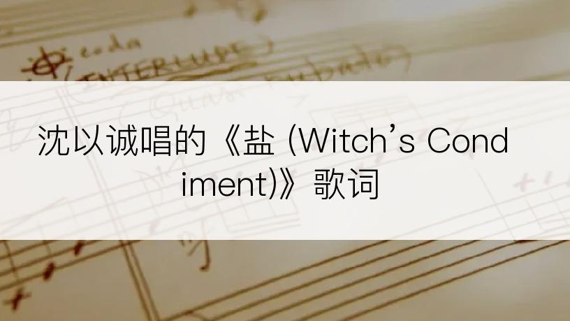 沈以诚唱的《盐 (Witch’s Condiment)》歌词