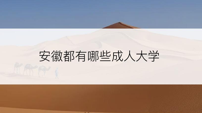 安徽都有哪些成人大学