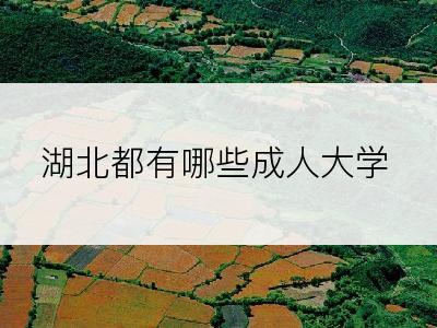 湖北都有哪些成人大学