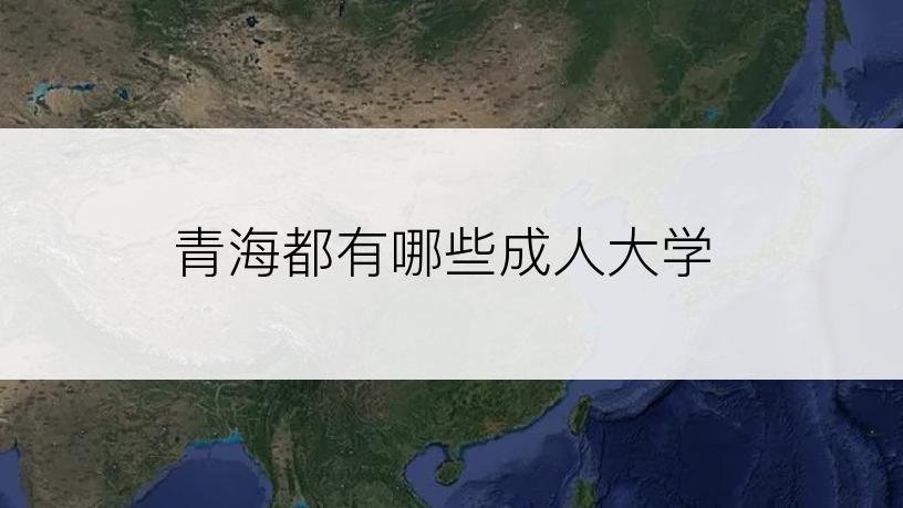青海都有哪些成人大学