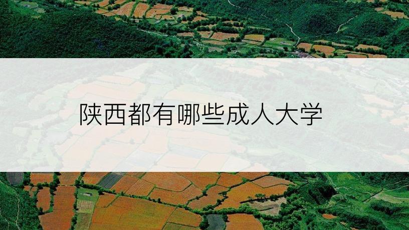 陕西都有哪些成人大学