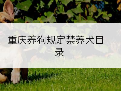 重庆养狗规定禁养犬目录