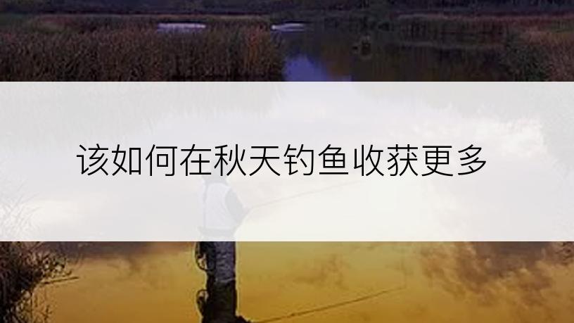 该如何在秋天钓鱼收获更多