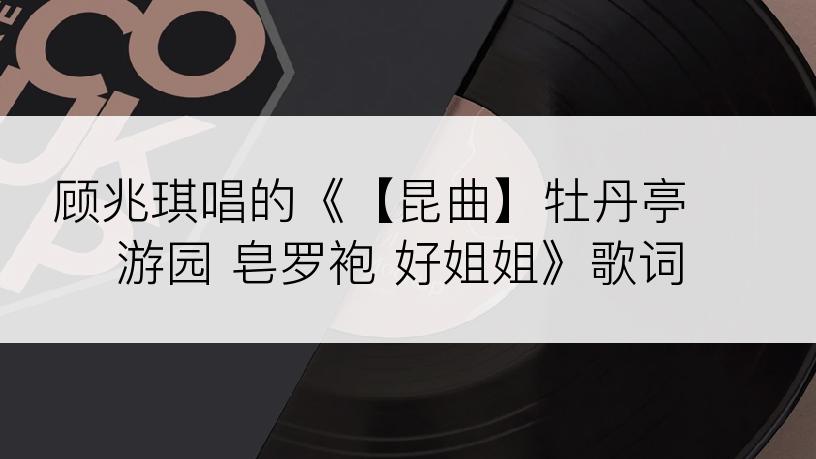顾兆琪唱的《【昆曲】牡丹亭 游园 皂罗袍 好姐姐》歌词