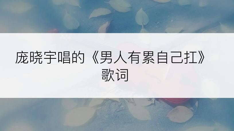 庞晓宇唱的《男人有累自己扛》歌词