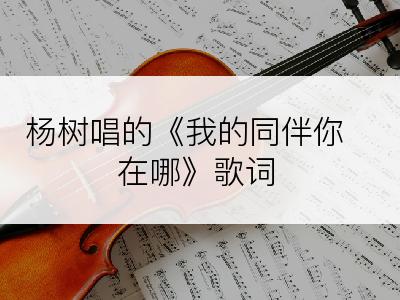 杨树唱的《我的同伴你在哪》歌词