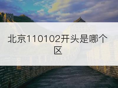 北京110102开头是哪个区