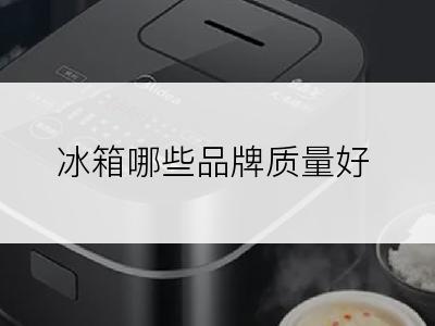 冰箱哪些品牌质量好