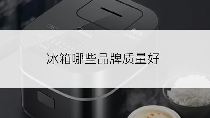 冰箱哪些品牌质量好