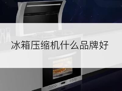冰箱压缩机什么品牌好