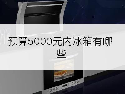 预算5000元内冰箱有哪些